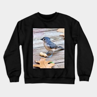 Tiny blue bird stands guard over a peanut Crewneck Sweatshirt